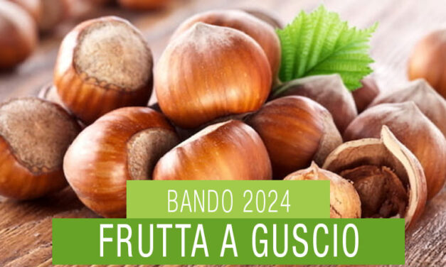 Contributi a Fondo Perduto per Investimenti nella Filiera della Frutta a Guscio: Come Ottenere i Finanziamenti