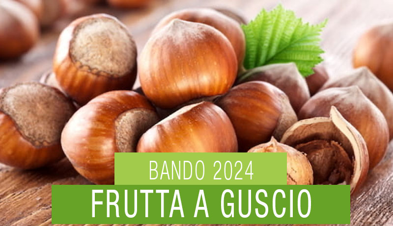 Contributi a Fondo Perduto per Investimenti nella Filiera della Frutta a Guscio: Come Ottenere i Finanziamenti